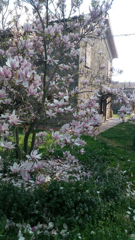 Agriturismo Solidor Pitigliano Exteriér fotografie
