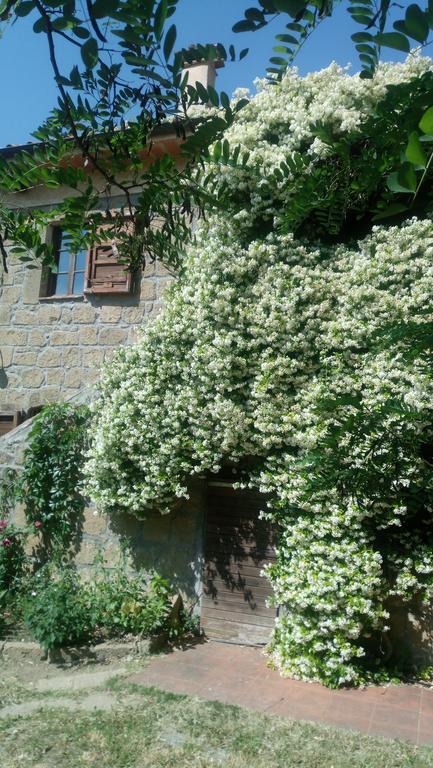 Agriturismo Solidor Pitigliano Exteriér fotografie